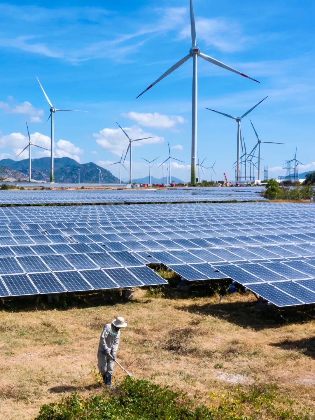 随着以高端制造为代表的企业出海需求日益强烈和丰富